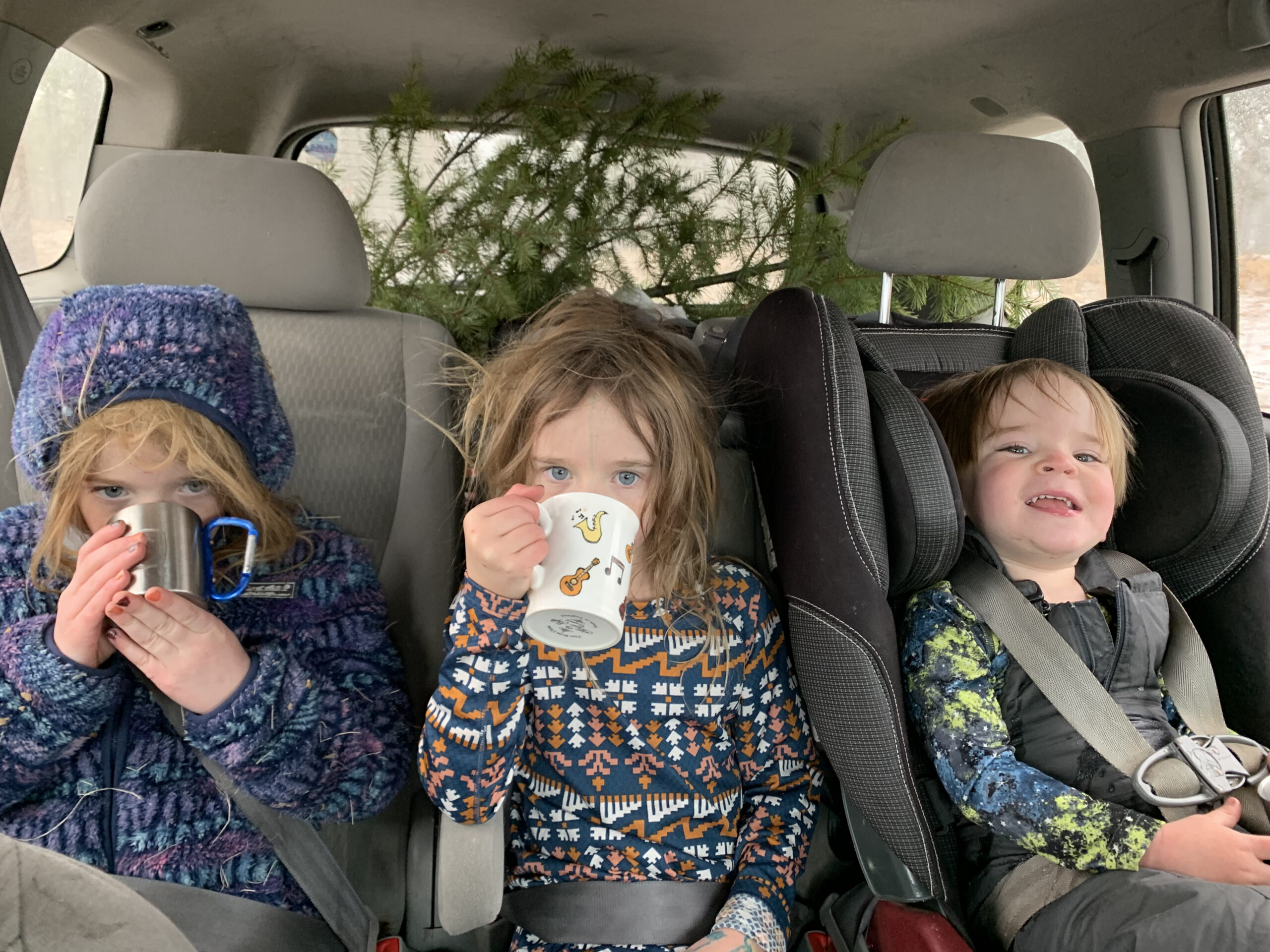 ChristmasTreeHunting Christmas Tree Hunting