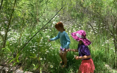 Outdoor Adventures with Kids