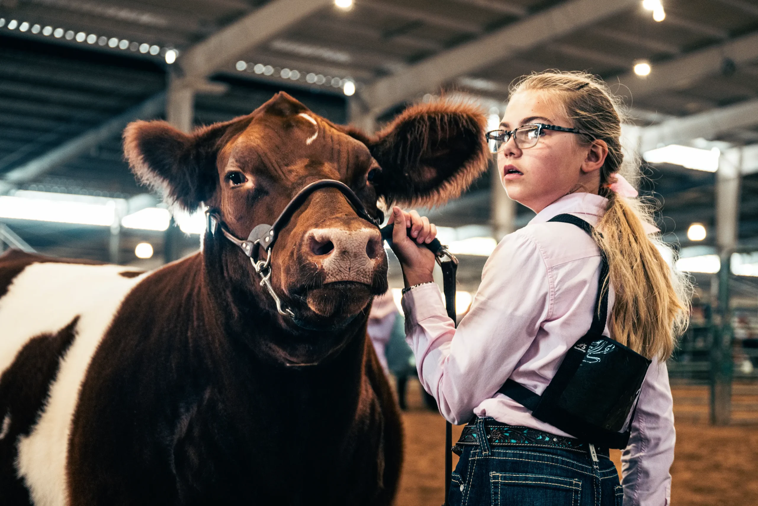 NMSF-24-9142 girl at fair with cow