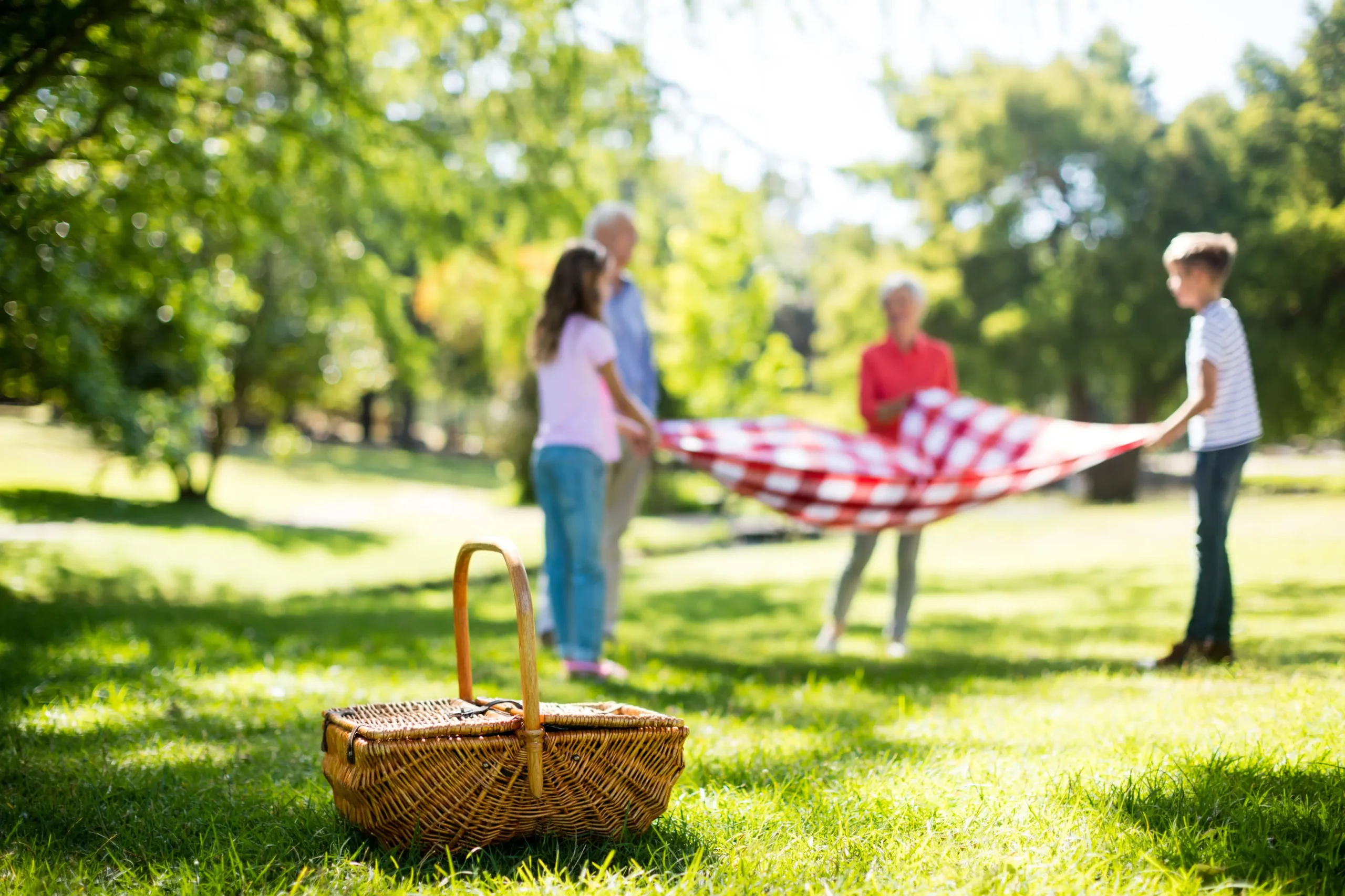 Family having a picnic