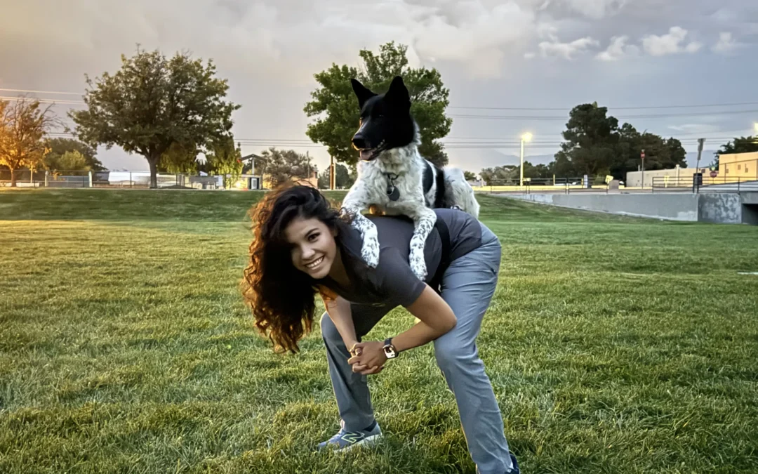 Finding the Perfect Pup