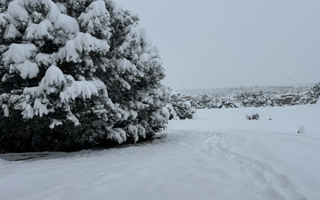 Welcoming Winter with Open Arms