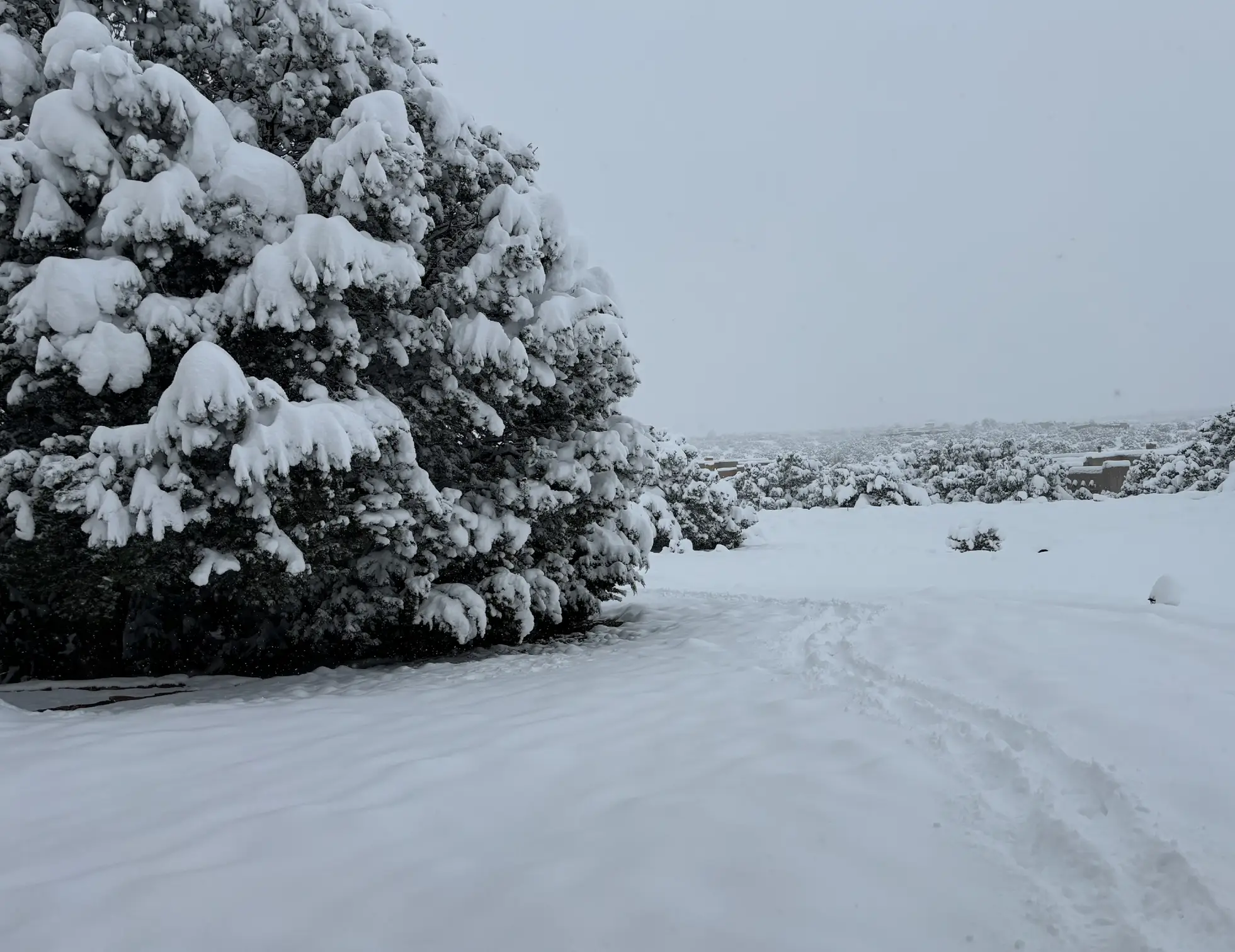 Winter Landscape Winter Landscape